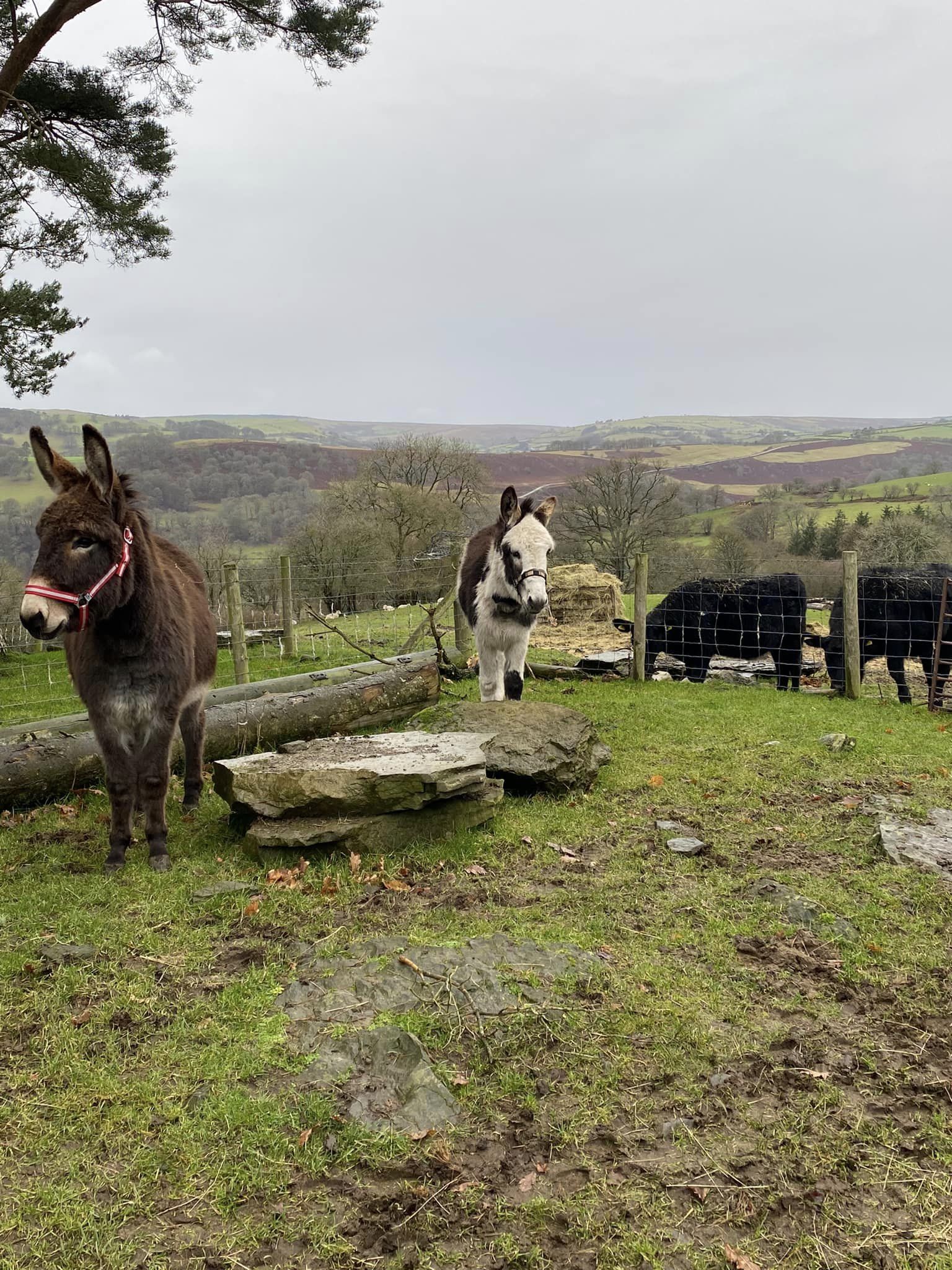 Gallery Great House Farm